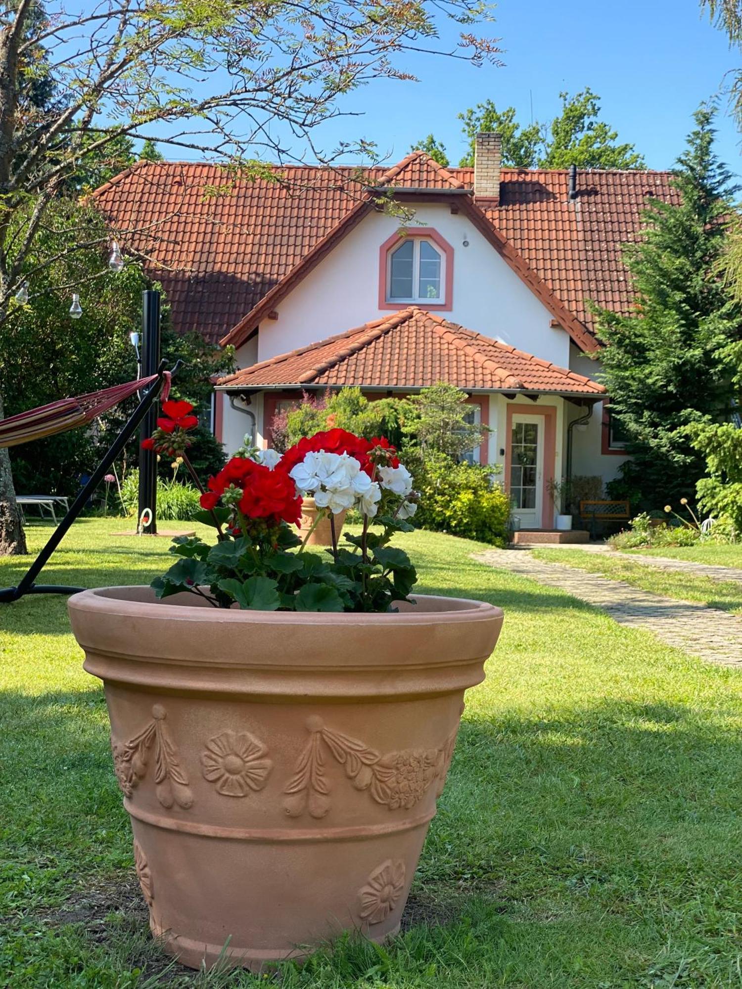 Vila Evio Třeboň Eksteriør billede