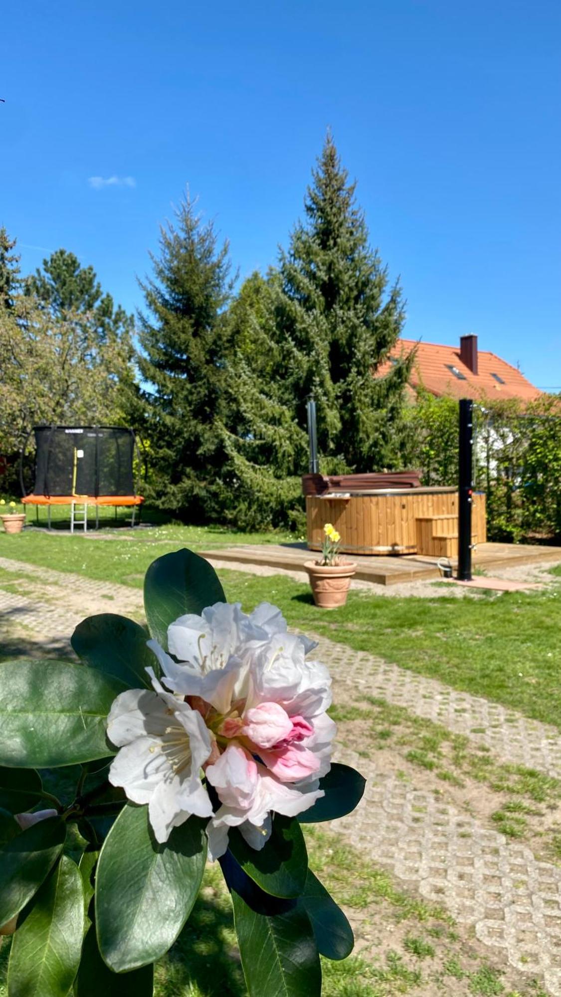 Vila Evio Třeboň Eksteriør billede
